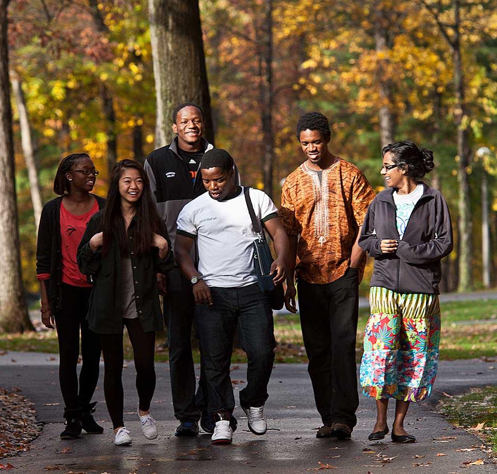 Group of students walking down path